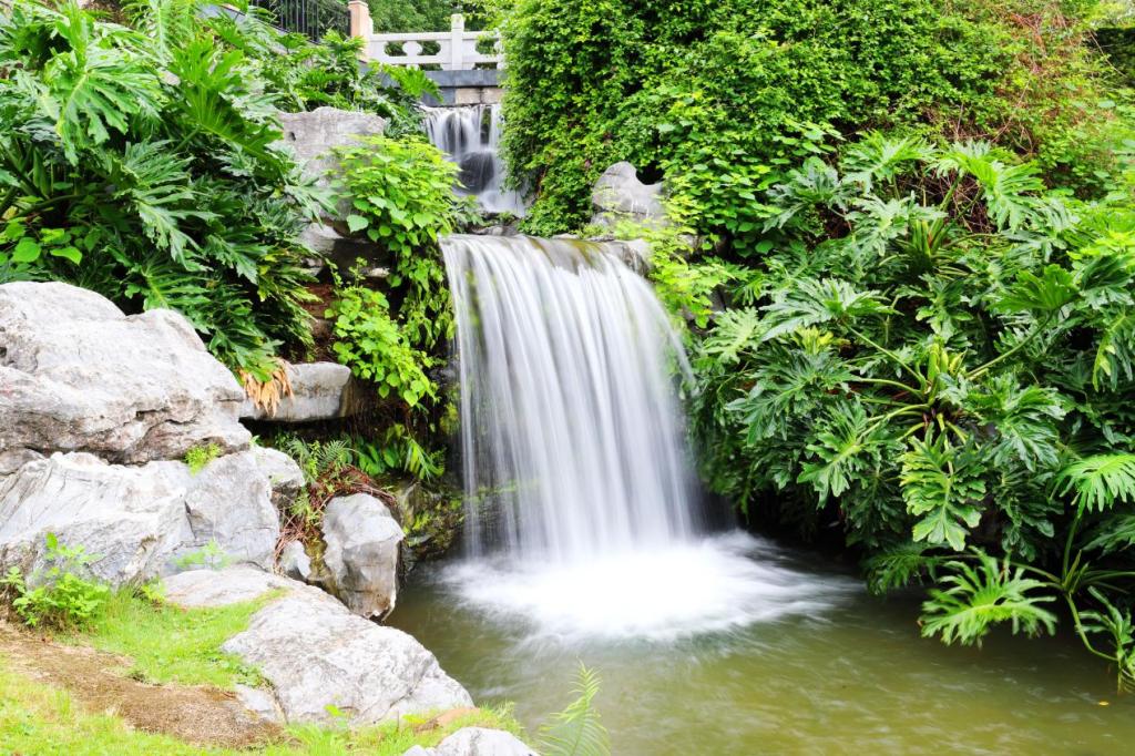 williamhill威廉希尔官网