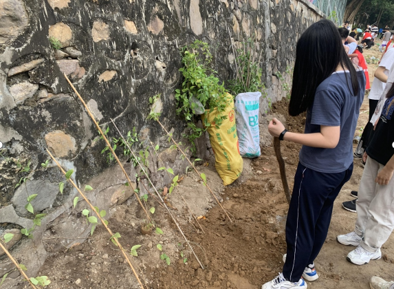 williamhill威廉希尔官网