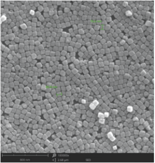 williamhill威廉希尔官网