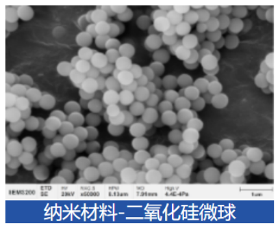 williamhill威廉希尔官网