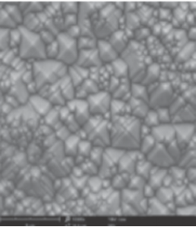 williamhill威廉希尔官网